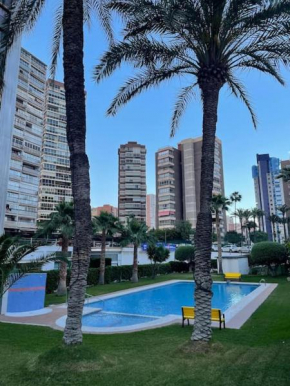 ARAS Apartamento Levante